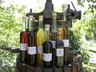 Appartement Palazzuolo sul Senio  35