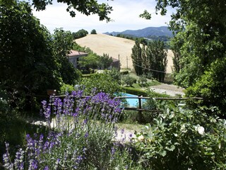 Appartement Palazzuolo sul Senio  36