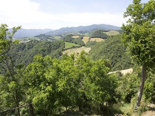 Apartamento Palazzuolo sul Senio Entorno 29