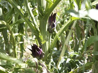 Appartamento Palazzuolo sul Senio  36