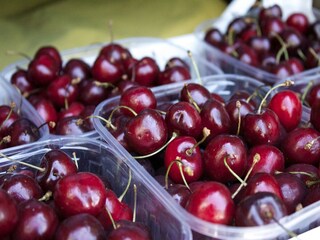 Appartement Palazzuolo sul Senio  31