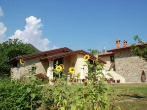 Holiday house Modernes Ferienhaus in Imola mit Swimmingpool - Lizzano in Belvedere - image1