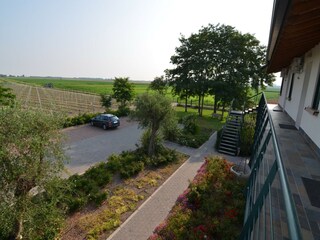 Appartement Lido di Volano Buitenaudio-opname 11