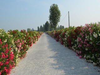 Apartment Lido di Volano Umgebung 28