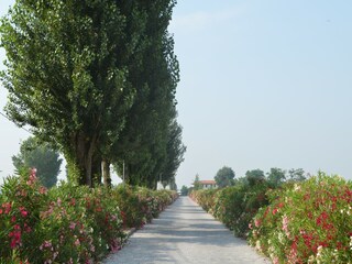 Apartamento Lido di Volano Entorno 21