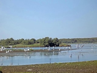 Apartment Lido di Volano Umgebung 22