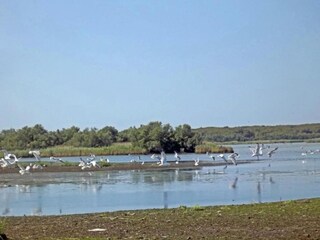 Appartamento Lido di Volano Ambiente 26