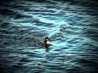 Appartement Lido di Volano Environnement 27