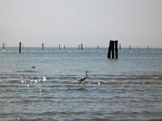 Appartamento Lido di Volano Ambiente 35