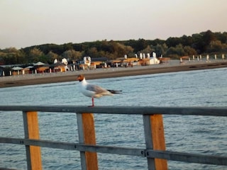 Appartement Lido di Volano Environnement 37