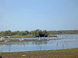 Appartamento Lido di Volano Ambiente 30