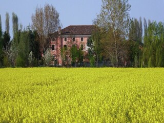 Type de propriété : Ferme Pontecchio Polesine Enregistrement extérieur 5