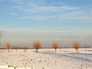 Bauernhof Pontecchio Polesine Umgebung 33