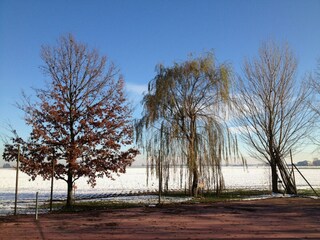 Type de propriété : Ferme Pontecchio Polesine Environnement 36