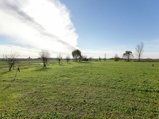 Type de propriété : Ferme Pontecchio Polesine Environnement 39