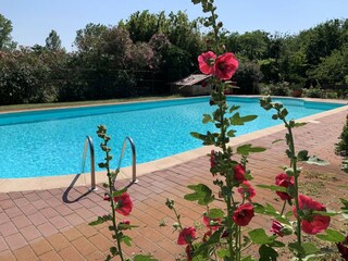 Casa de campo Pontecchio Polesine Grabación al aire libre 17