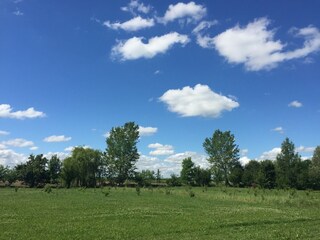 Type de propriété : Ferme Pontecchio Polesine Environnement 35