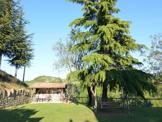 Appartement Modigliana Buitenaudio-opname 6