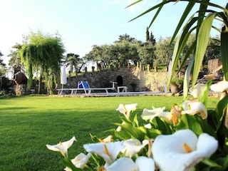 Apartment Modigliana Außenaufnahme 5
