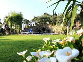 Appartement Modigliana Buitenaudio-opname 9