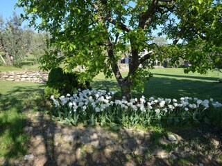Apartamento Modigliana Grabación al aire libre 6