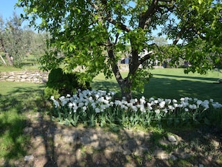 Appartamento Modigliana Registrazione all'aperto 3