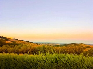 Apartment Modigliana Umgebung 25