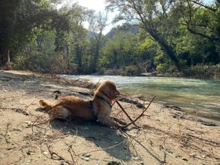 Appartamento Modigliana  37