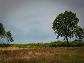 Appartamento Modigliana Ambiente 27