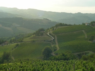 Apartment Modigliana Umgebung 28