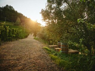 Appartamento Modigliana Ambiente 34