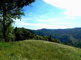 Casa per le vacanze Tredozio Ambiente 23
