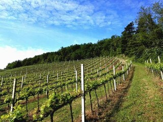 Casa per le vacanze Tredozio Ambiente 25