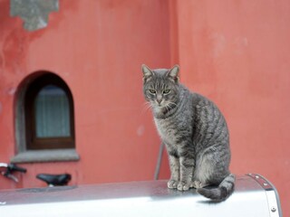 Casa per le vacanze Tredozio Ambiente 24
