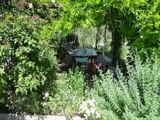 Apartment Bellaria Outdoor Recording 6