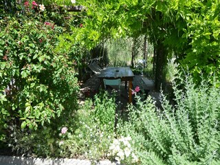 Apartamento Bellaria Grabación al aire libre 2