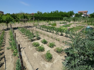 Apartment Bellaria  39