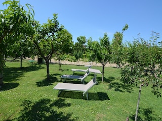 Apartment Bellaria Outdoor Recording 5