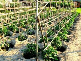 Apartamento Bellaria  38