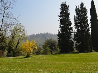 Holiday house Rimini (Stadt) Outdoor Recording 10
