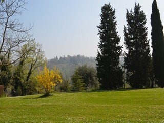 Vakantiehuis Rimini (Stadt) Buitenaudio-opname 9