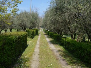 Casa per le vacanze Rimini (Stadt) Registrazione all'aperto 6