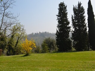 Holiday house Rimini (Stadt) Outdoor Recording 16