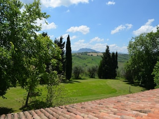 Holiday house Rimini (Stadt) Outdoor Recording 16