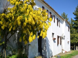 Casa de vacaciones Montefiore Conca Grabación al aire libre 8