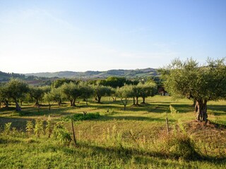 Casa de vacaciones Montefiore Conca Entorno 34