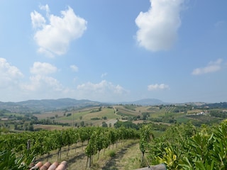 Apartment Coriano Außenaufnahme 11