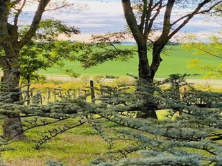 Apartment Coriano Umgebung 32