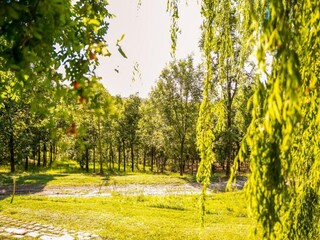 Apartamento Coriano Entorno 36