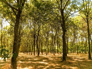 Appartamento Coriano Ambiente 27